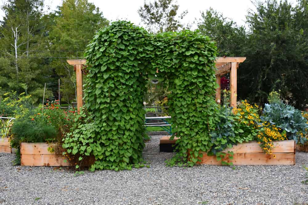 Custom Landscape Design Services image