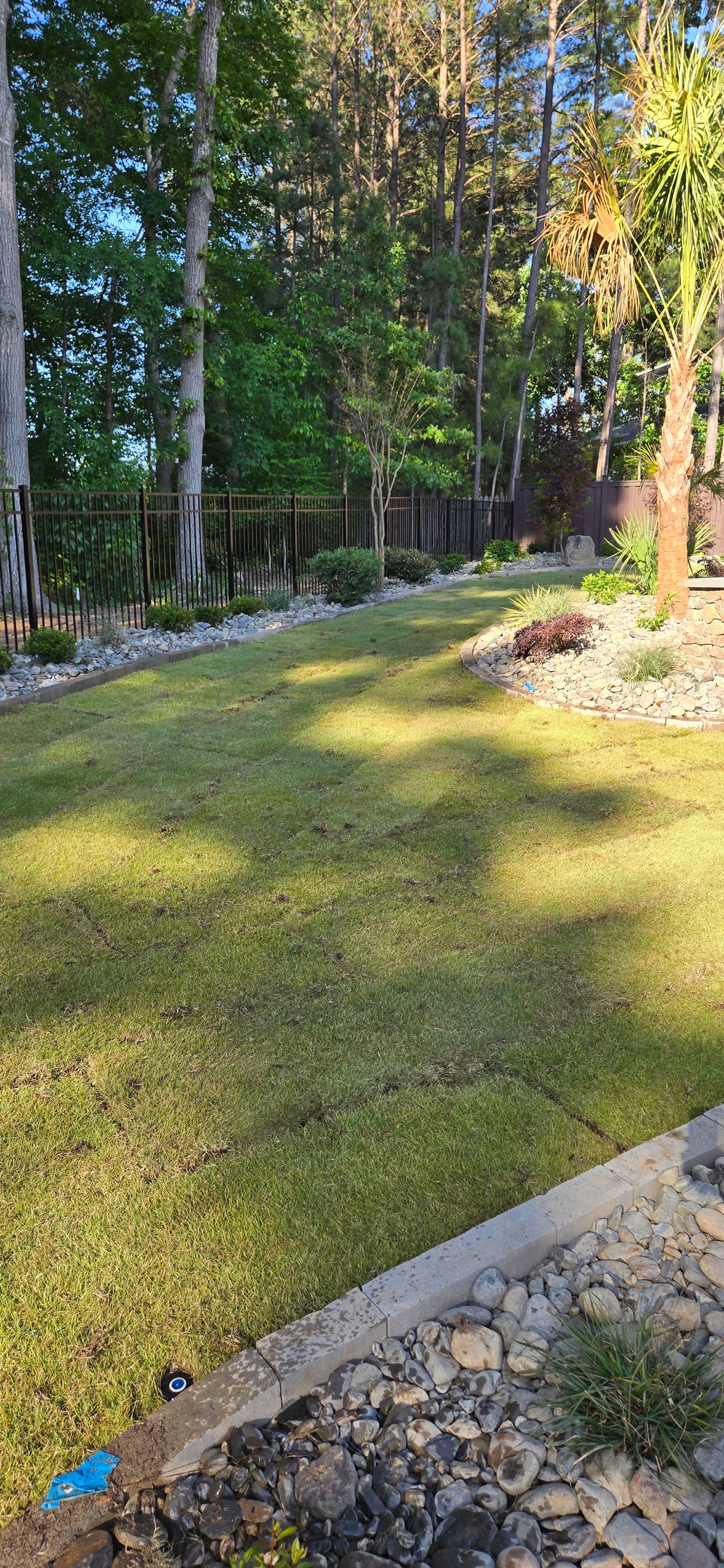 Gallery photos for Fresh Zoysia Sod and Gravel Accents Tie Together a Cary Backyard: Image #1