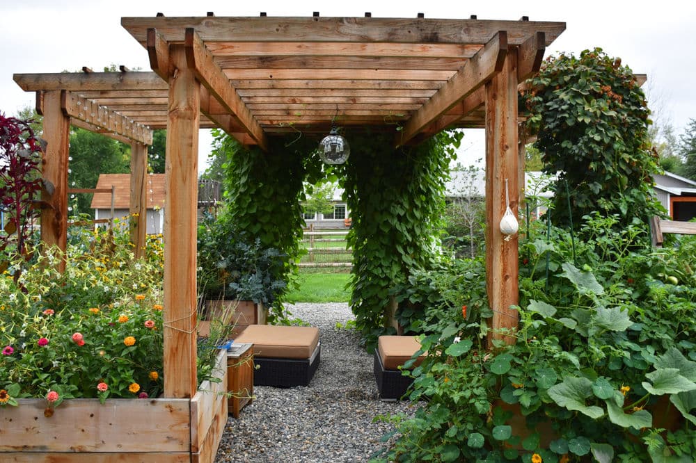 Pergola with hanging plants in a garden, featuring seating area and gravel pathway.