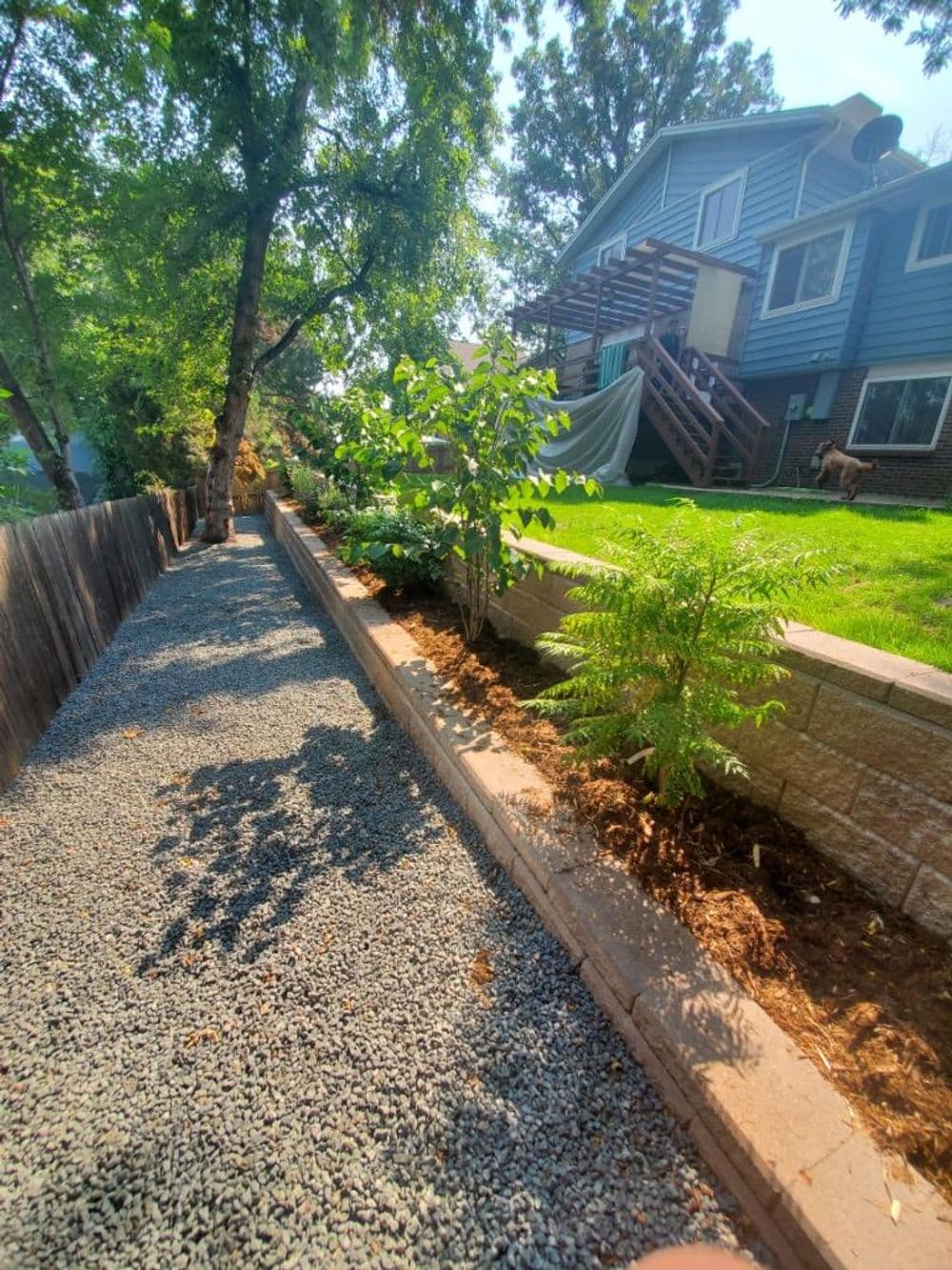 Gravel pathway alongside landscaped yard, featuring plants and a blue house in the background.