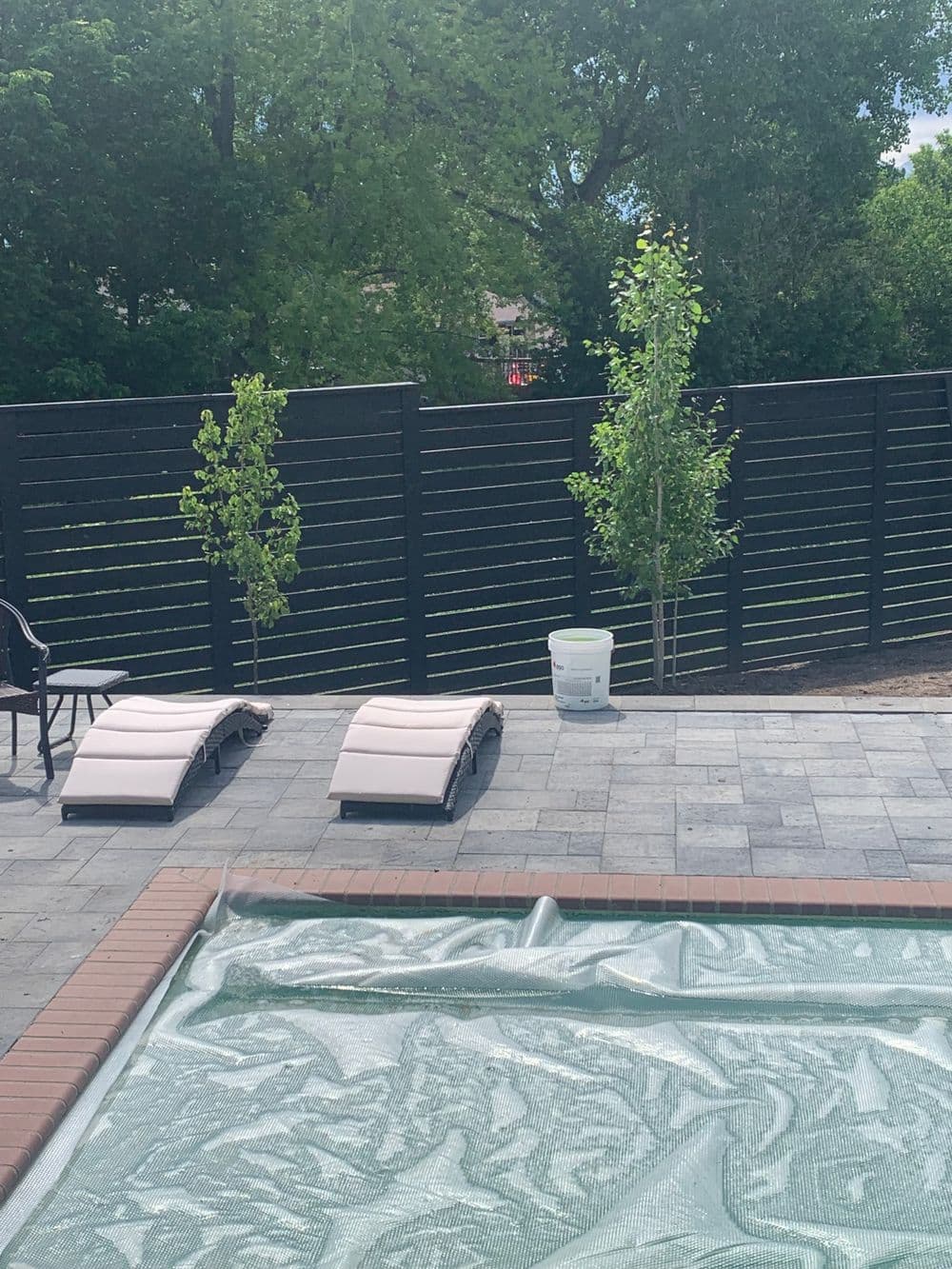Lounge chairs beside a pool with a green cover and a black wooden fence in a landscaped yard.